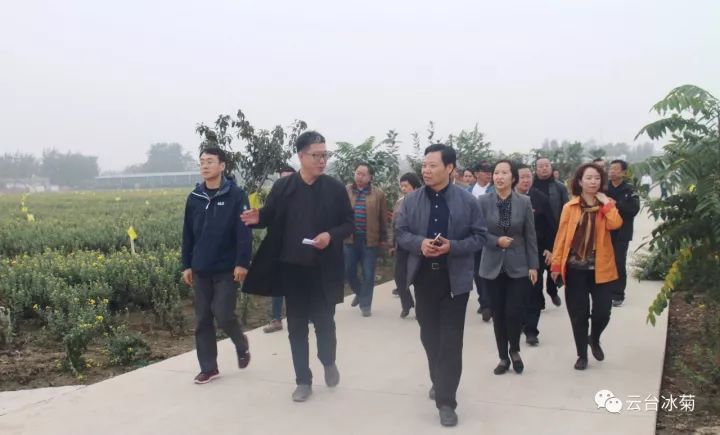 云臺(tái)冰菊基地發(fā)生了什么？一批批領(lǐng)導(dǎo)專家團(tuán)隊(duì)前來！