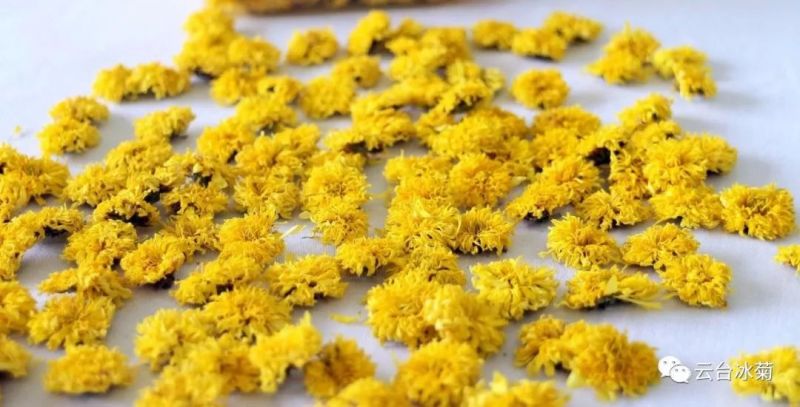 2018，種下希望，靜待花開！